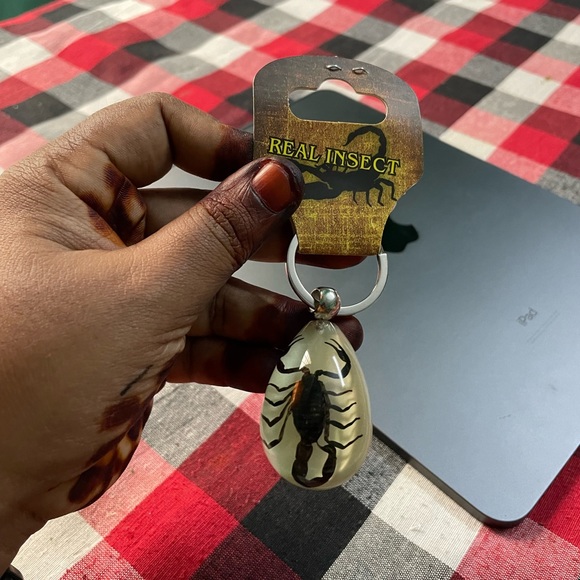 Real insect key chain - Picture 7 of 7